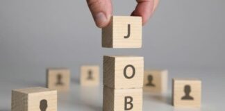 Software, hardware industries dominate 32% of fresher hiring